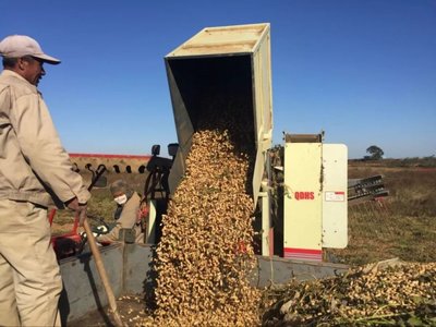 新型農(nóng)業(yè)經(jīng)營(yíng)者的規(guī)模化之路與有機(jī)肥補(bǔ)貼政策分析